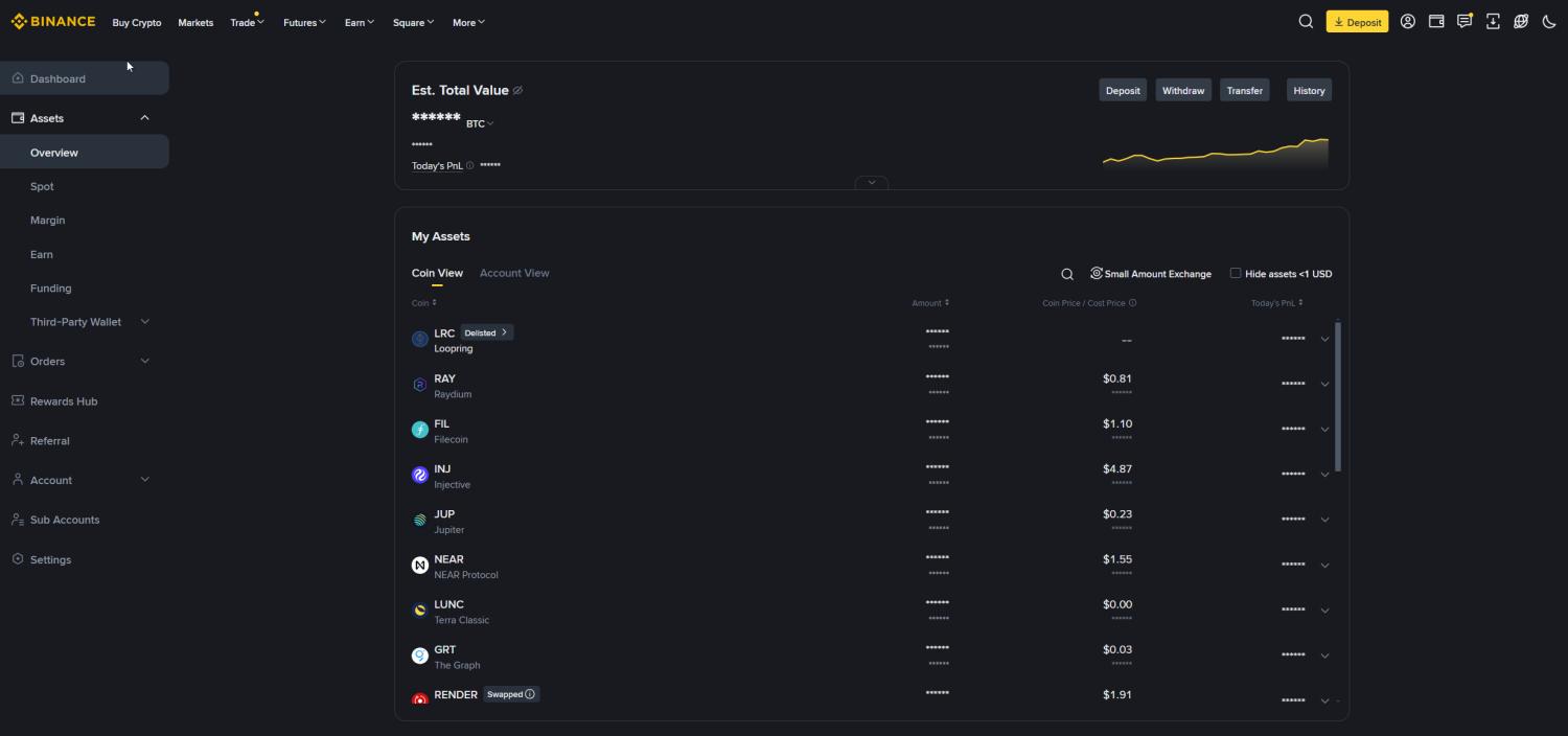 Binance wallet overview page